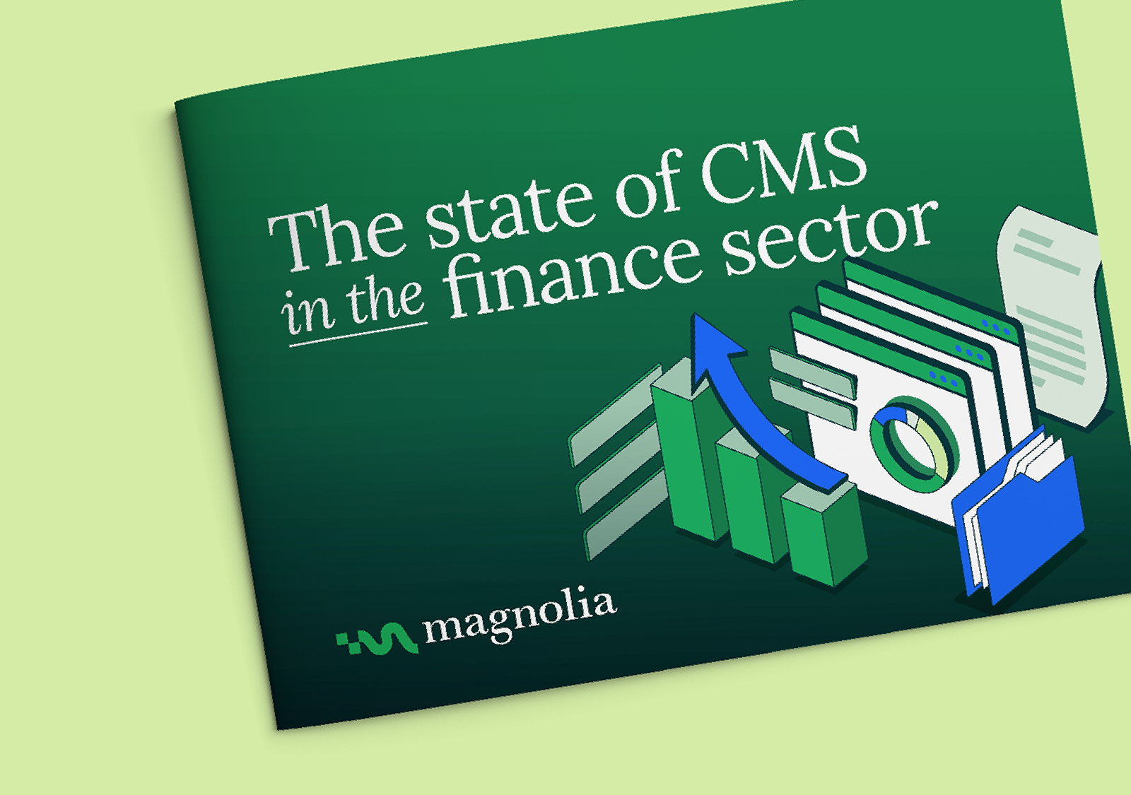 StateofCMSintheFinancialSector_Teaser EN