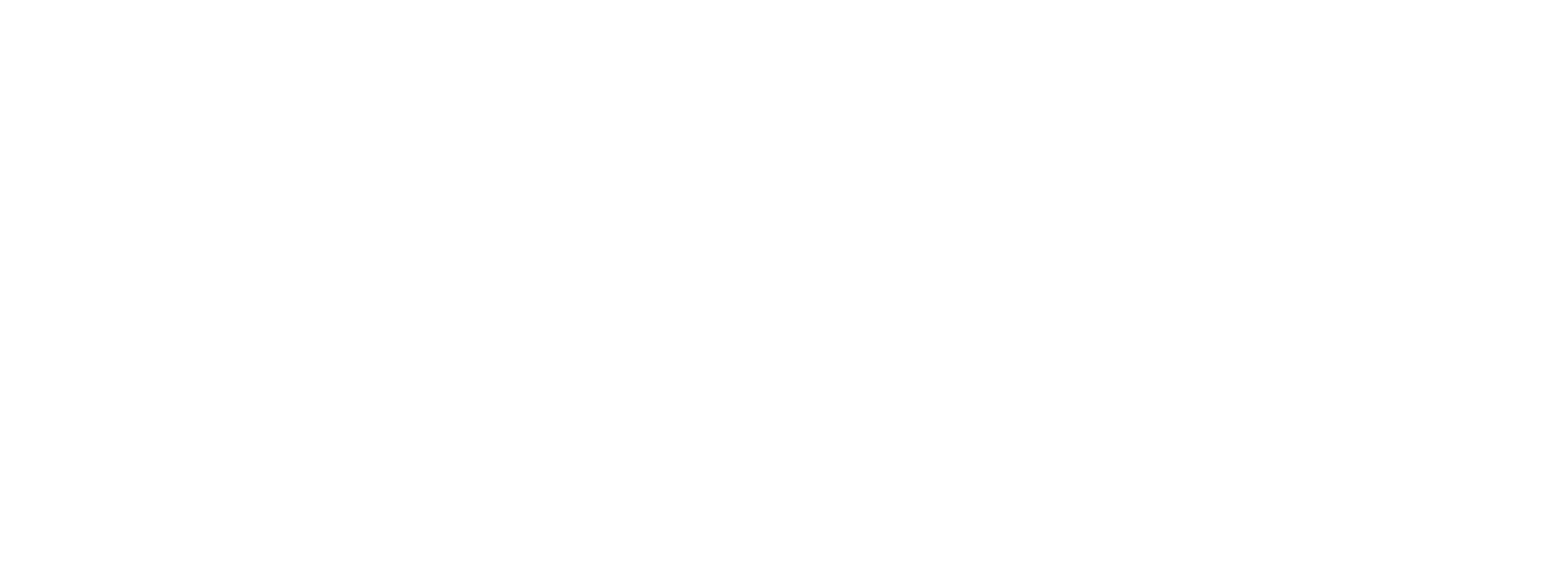 BASF Logo White 