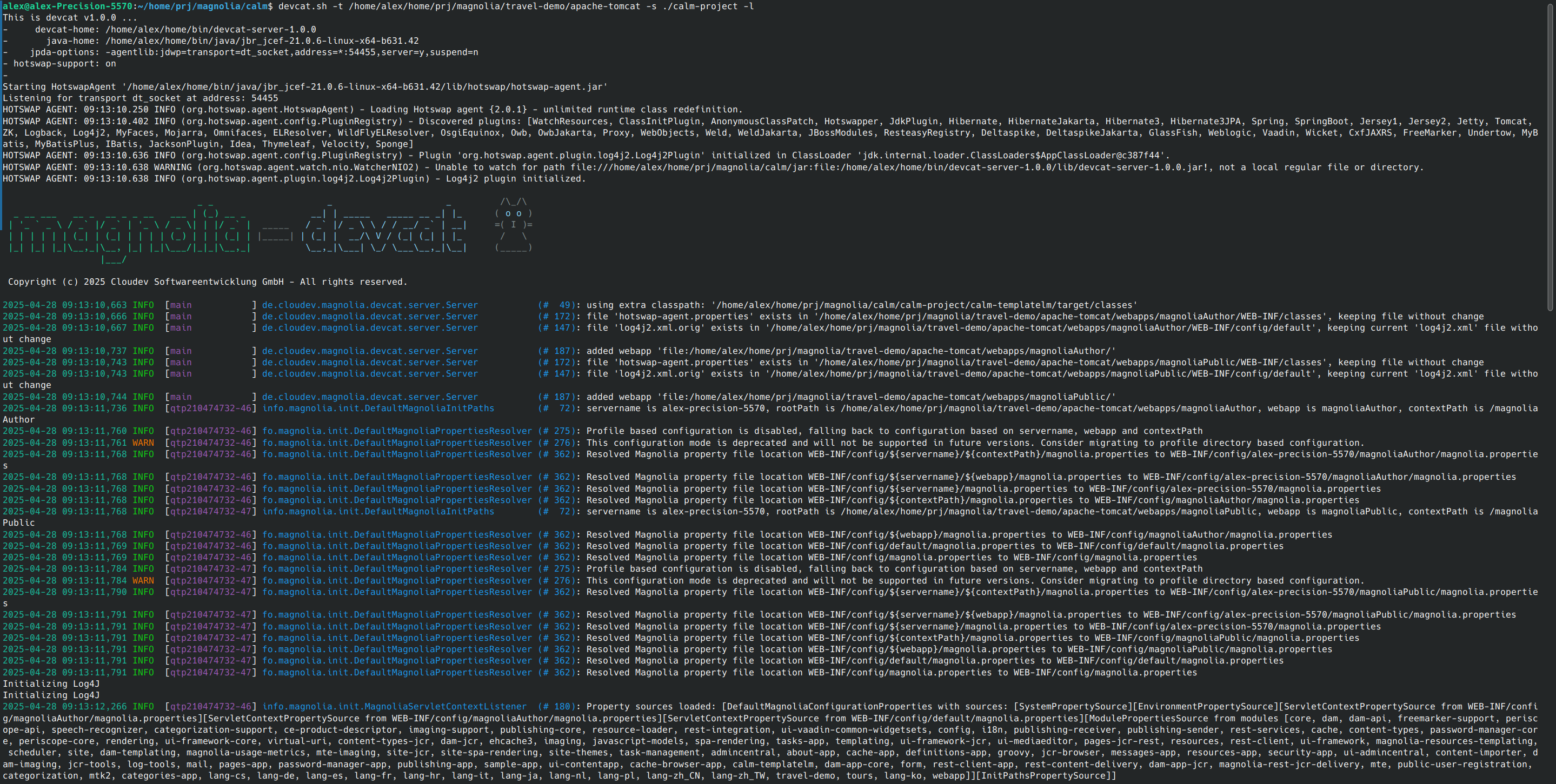 01-devcat-server-console-output - alex